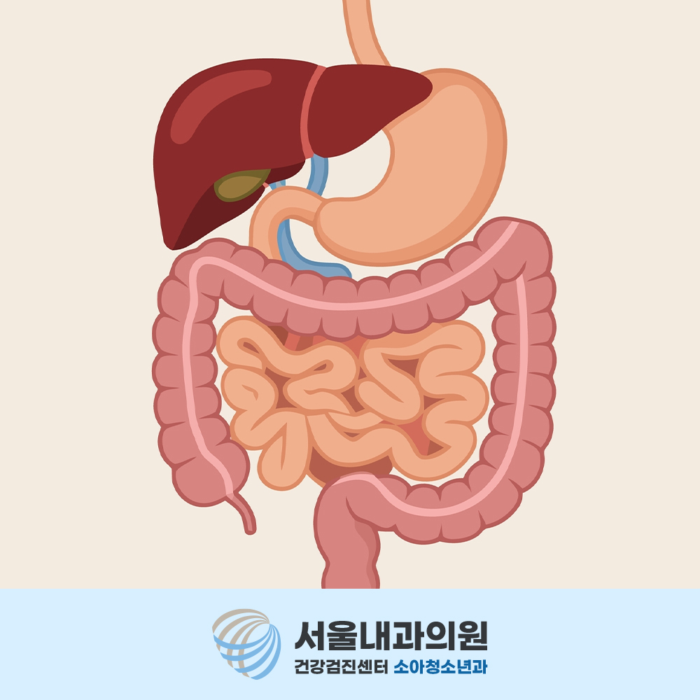 용인내시경