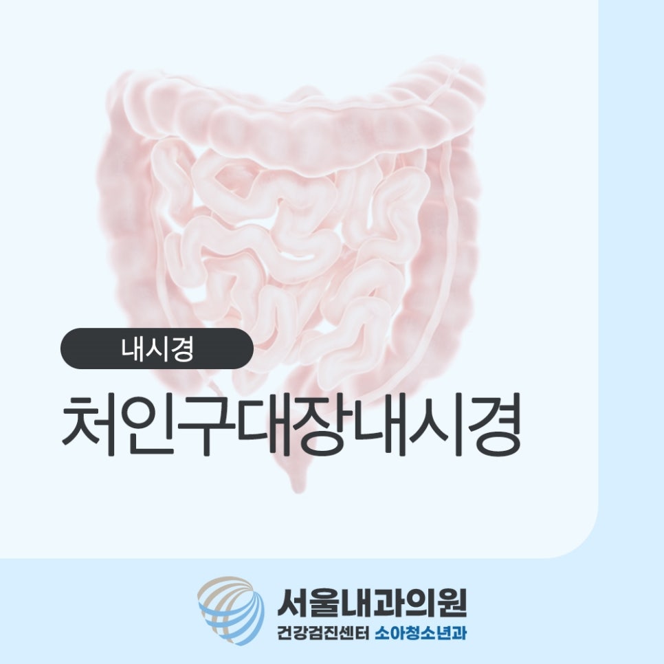 용인내시경
