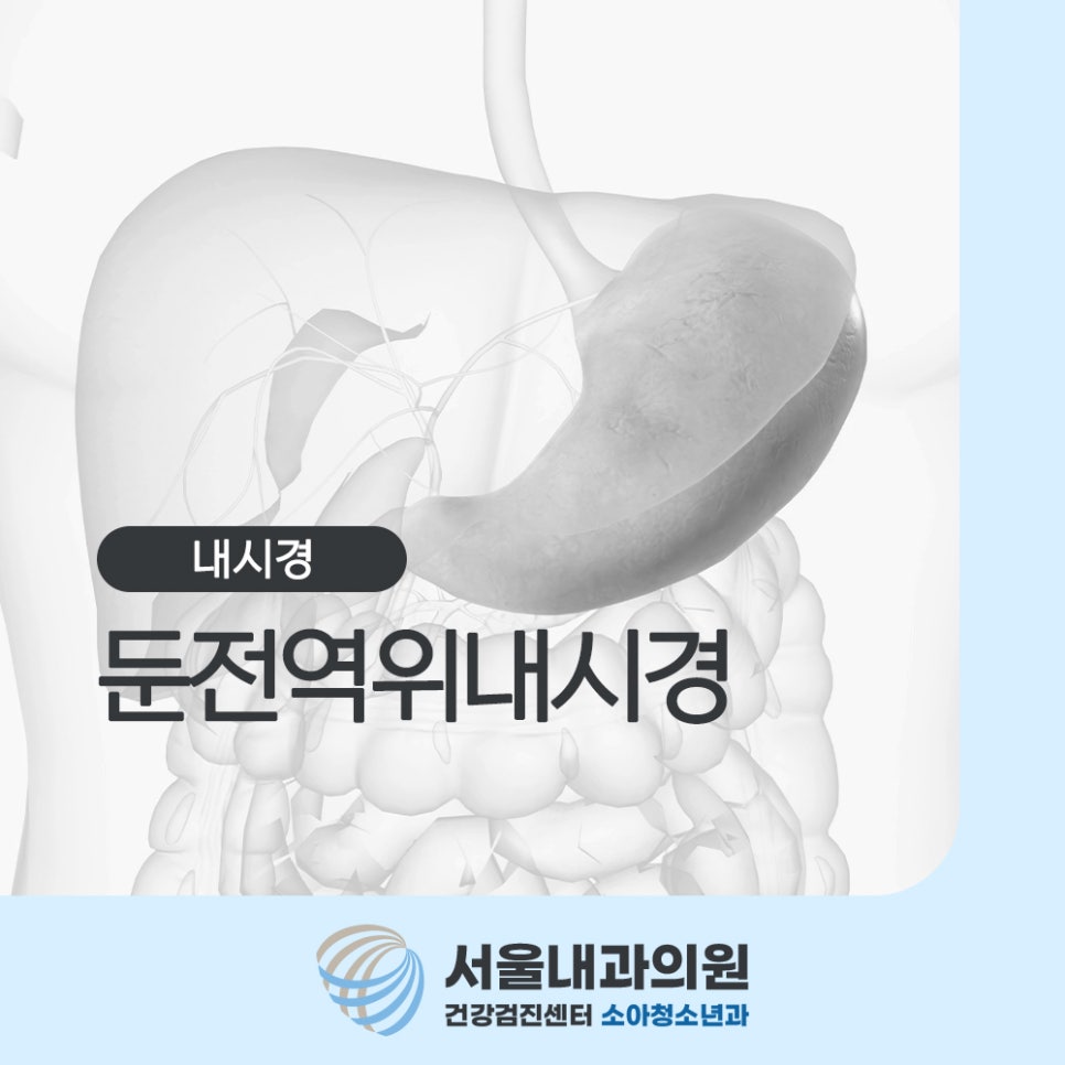 용인내시경