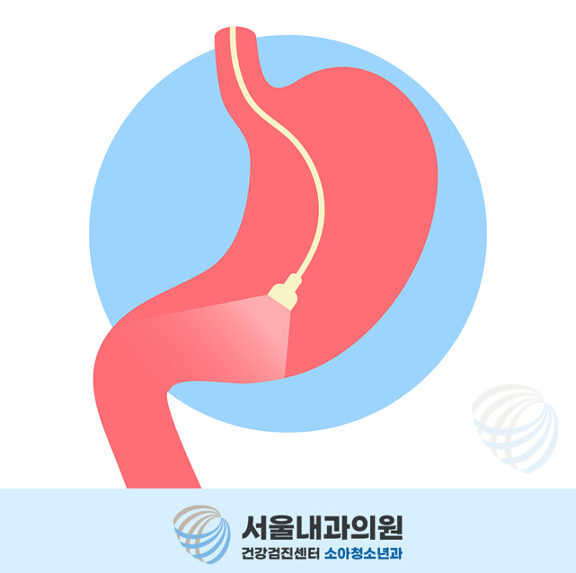 용인내시경