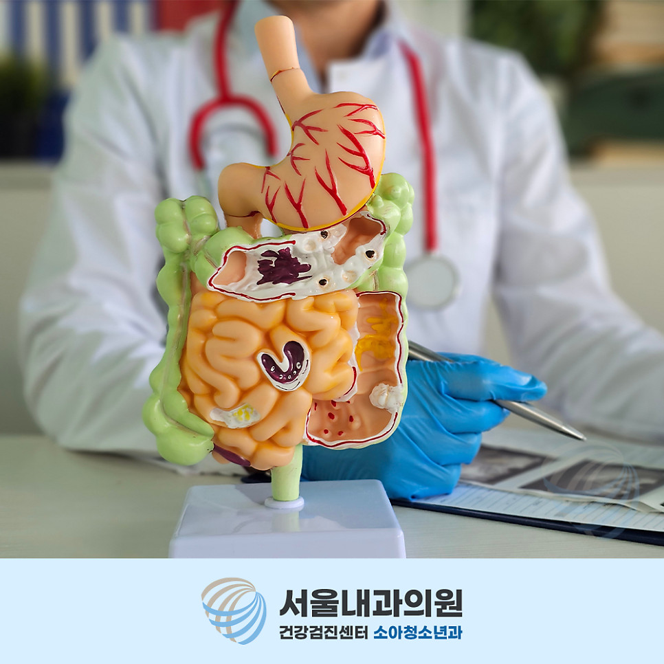 용인내시경