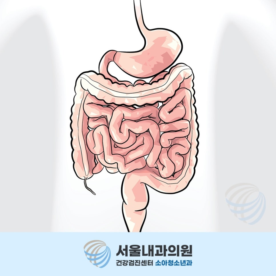 용인내시경