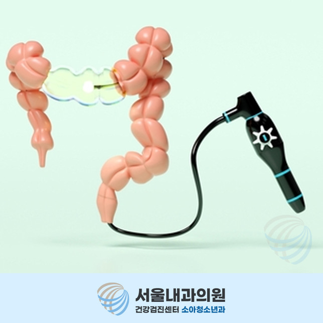 용인용인내시경
