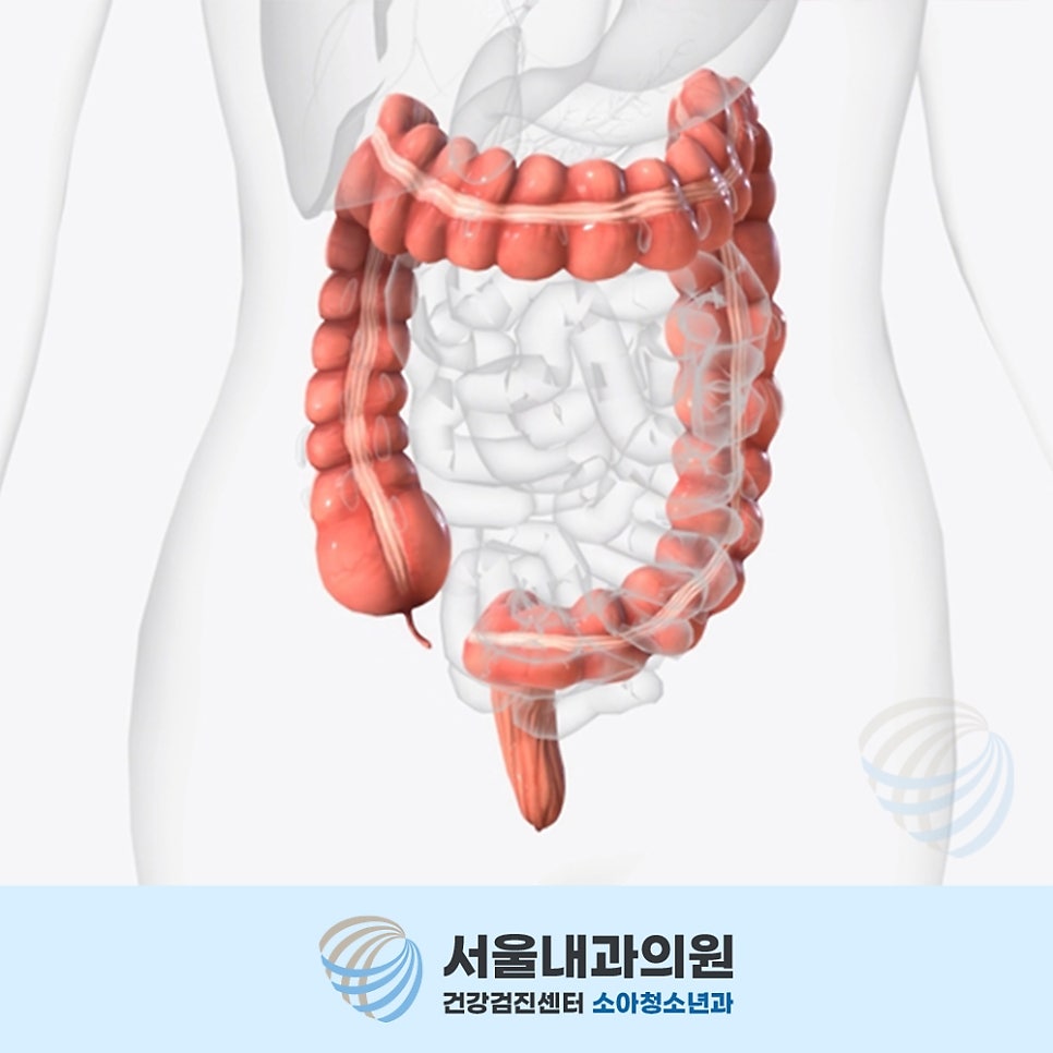 처인구내과