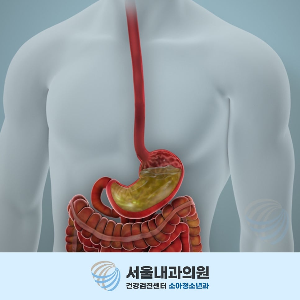 용인내시경