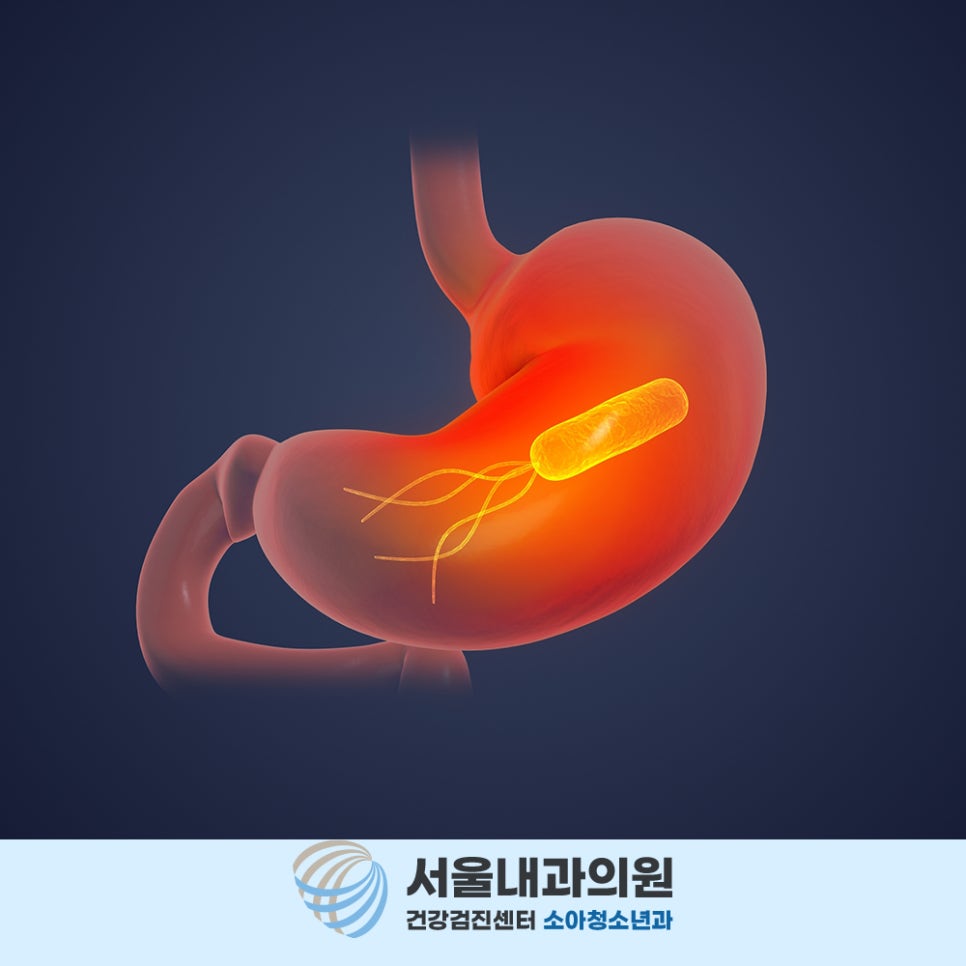 처인구내시경