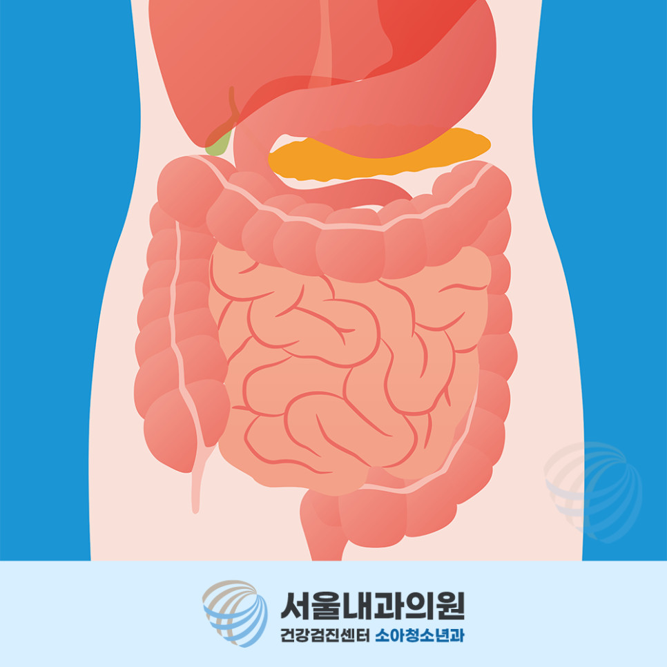 용인내시경