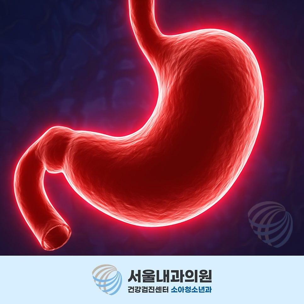 용인내시경