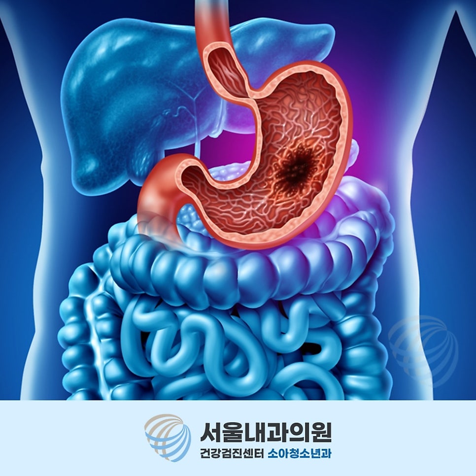 용인내시경