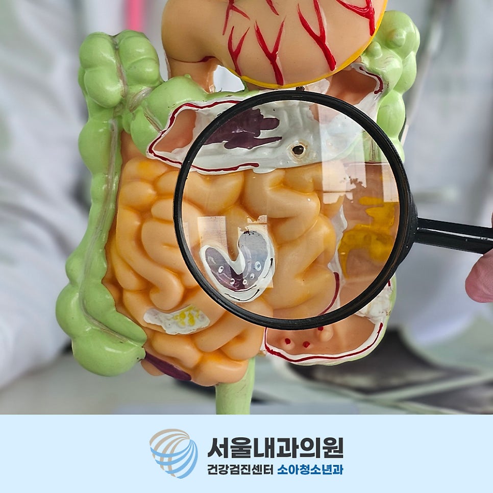 용인내시경