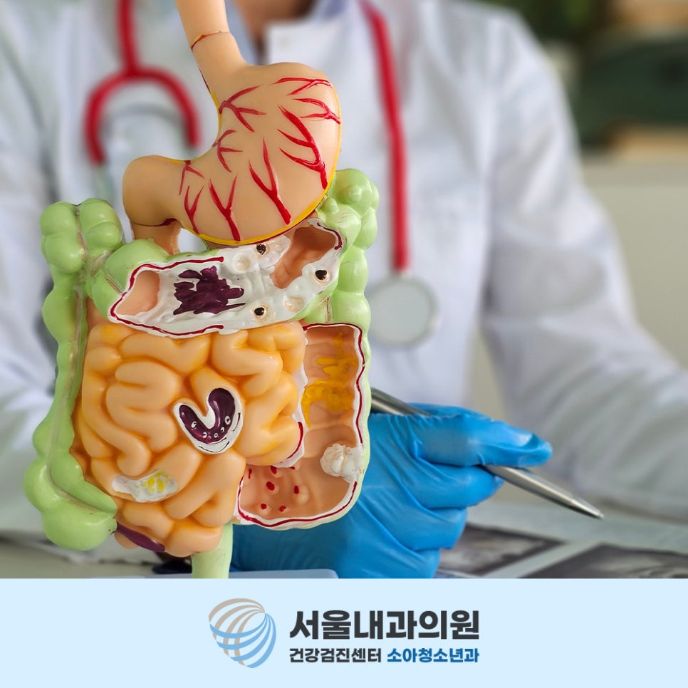 용인내시경