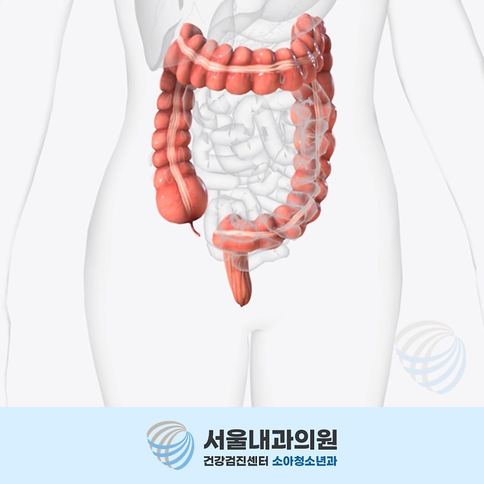 처인구내시경 초기 증상이 거의 없는 대장암 자각 어려움과 병원 방문 주의사항