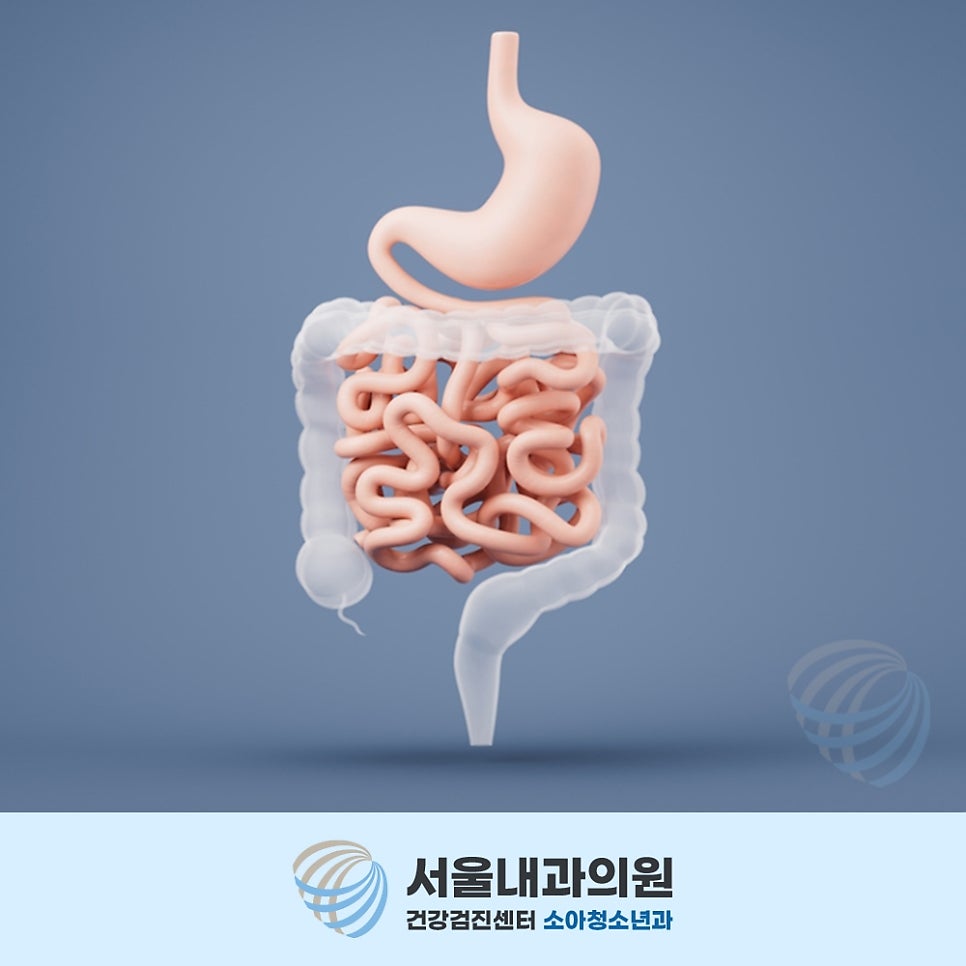 처인구내시경 정기 검사로 대장암 초기 발견과 조기 치료 기회 확보 방법 안내