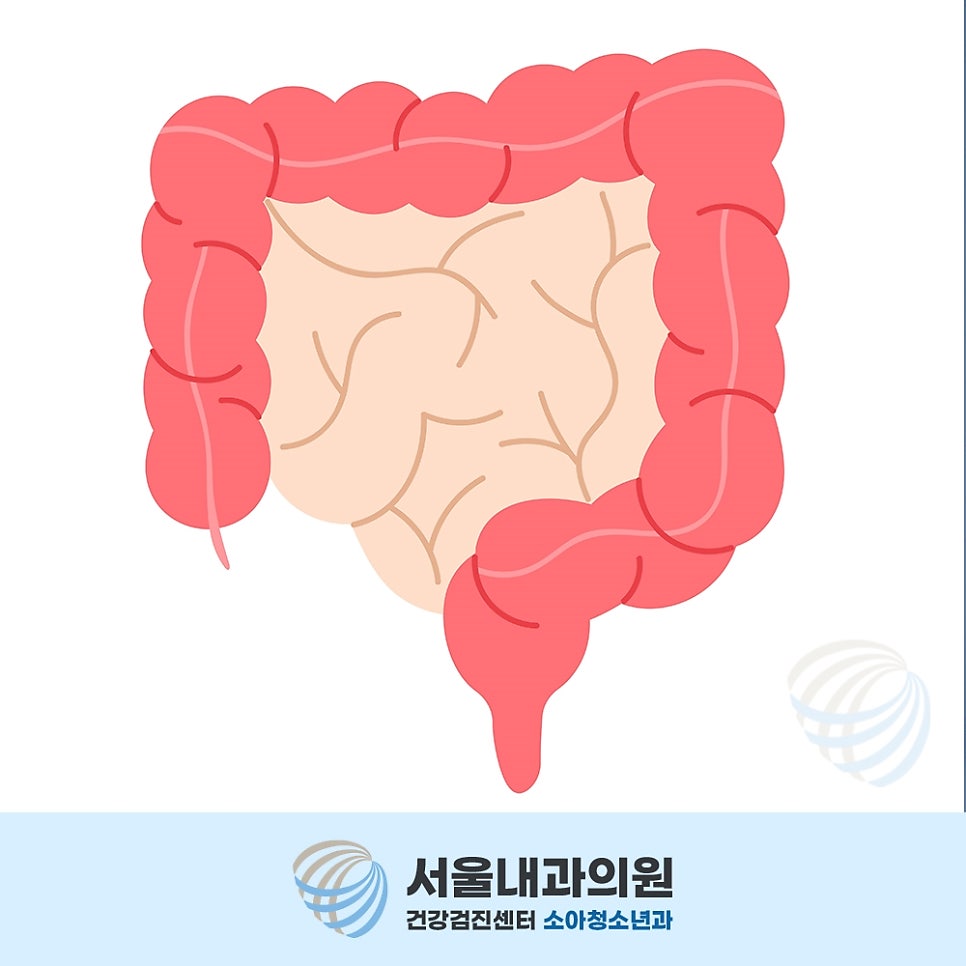 처인구내시경 국가 건강검진으로 위암 대장암 조기 발견 예방 방법 필요성 정보