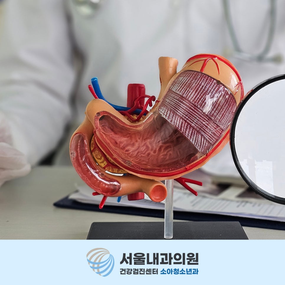 처인구내시경 증상만으로 구분 어려운 위염 역류성 식도염 위궤양 용종 확인