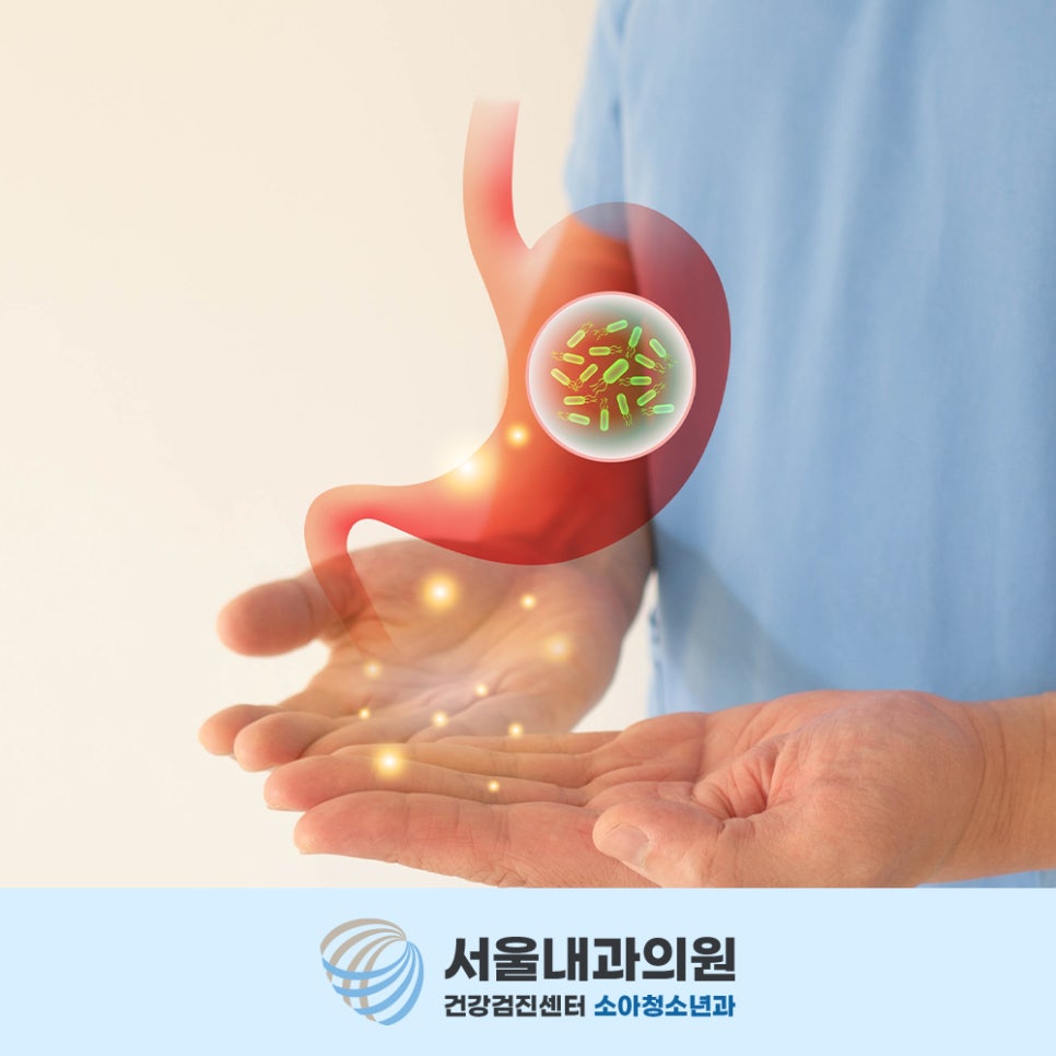 처인구내시경 위 내부 구조 이해와 각 부위를 천천히 확인하는 꼼꼼한 검사 방법